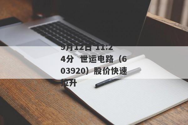 9月12日 11:24分  世运电路（603920）股价快速拉升