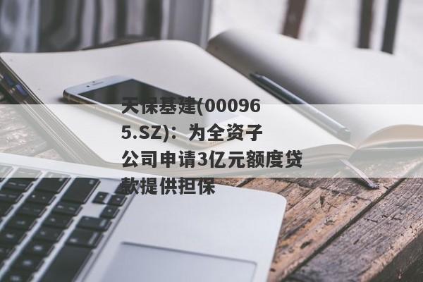 天保基建(000965.SZ)：为全资子公司申请3亿元额度贷款提供担保