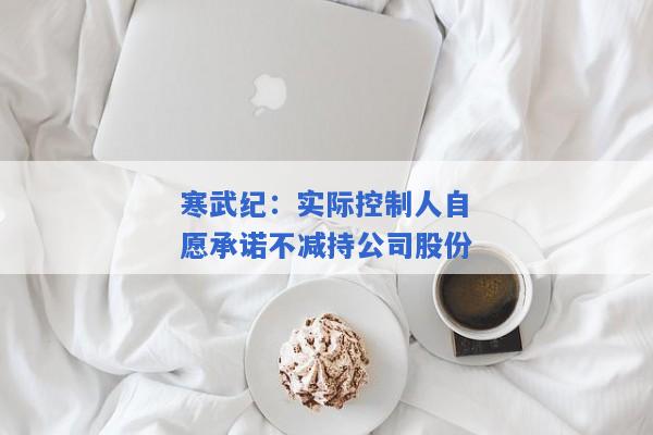 寒武纪：实际控制人自愿承诺不减持公司股份