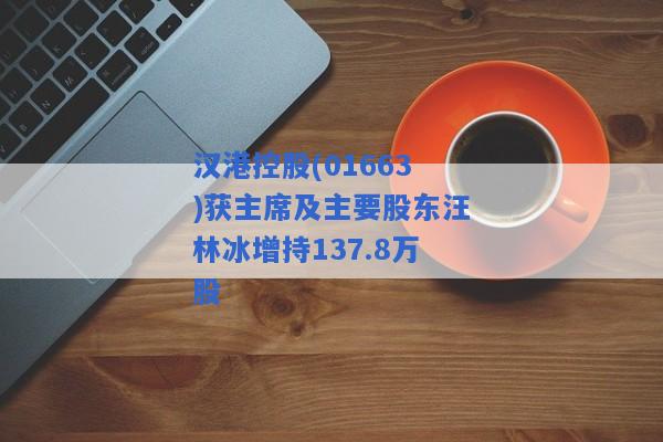 汉港控股(01663)获主席及主要股东汪林冰增持137.8万股