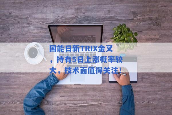 国能日新TRIX金叉，持有5日上涨概率较大，技术面值得关注！