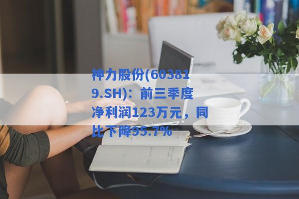 神力股份(603819.SH)：前三季度净利润123万元，同比下降95.7%