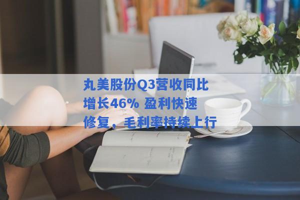 丸美股份Q3营收同比增长46% 盈利快速修复，毛利率持续上行