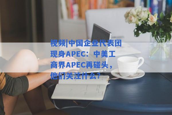 视频|中国企业代表团现身APEC：中美工商界APEC再碰头，他们关注什么？