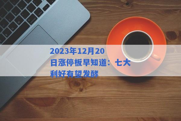 2023年12月20日涨停板早知道：七大利好有望发酵