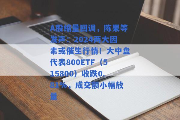 A股缩量回调，陈果等发声：2024两大因素或催生行情！大中盘代表800ETF（515800）收跌0.81%，成交额小幅放量