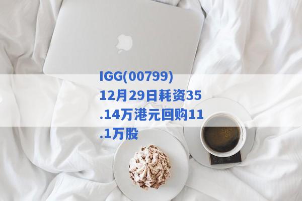 IGG(00799)12月29日耗资35.14万港元回购11.1万股