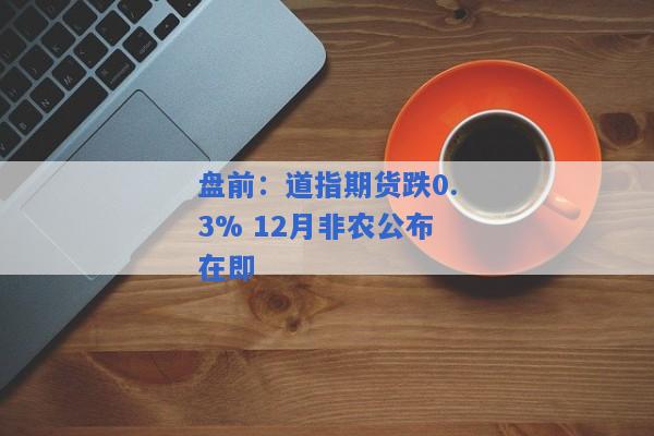 盘前：道指期货跌0.3% 12月非农公布在即