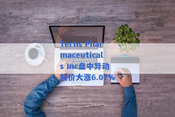 Terns Pharmaceuticals Inc盘中异动 股价大涨6.07%