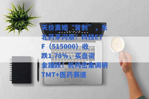 天价离婚“背刺”，东北药茅闪崩！科技ETF（515000）收跌1.78%，买盘资金踊跃！机构密集调研TMT+医药赛道