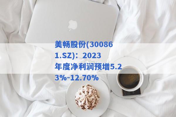 美畅股份(300861.SZ)：2023年度净利润预增5.23%-12.70%