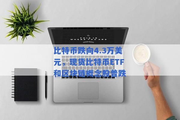 比特币跌向4.3万美元，现货比特币ETF和区块链概念股普跌