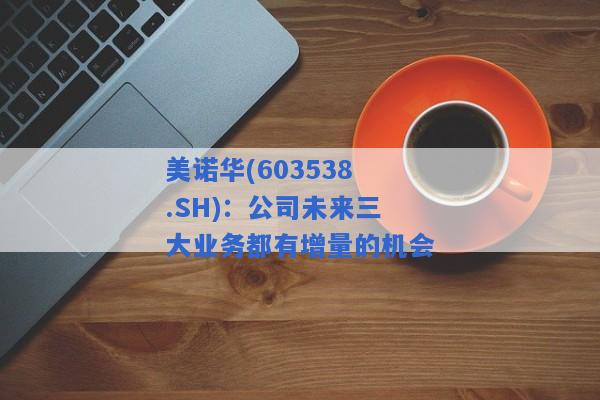 美诺华(603538.SH)：公司未来三大业务都有增量的机会