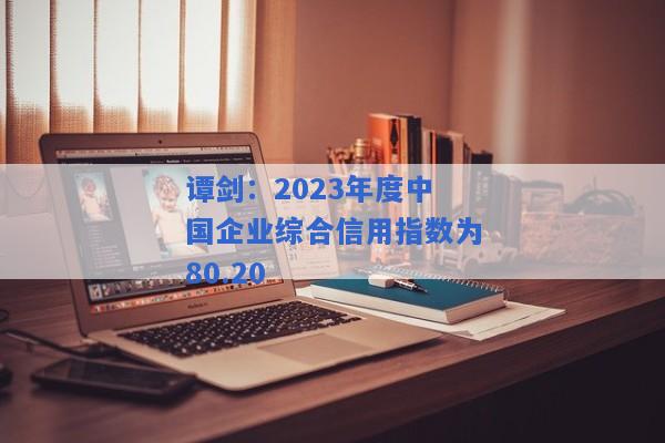 谭剑：2023年度中国企业综合信用指数为80.20