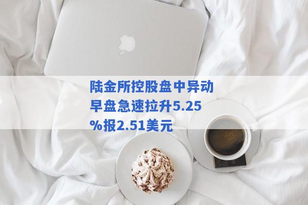 陆金所控股盘中异动 早盘急速拉升5.25%报2.51美元