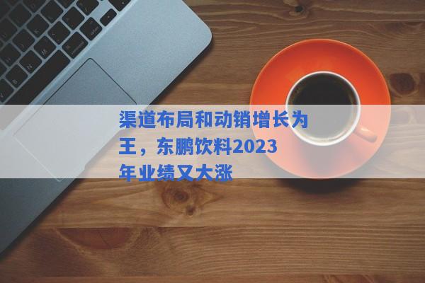 渠道布局和动销增长为王，东鹏饮料2023年业绩又大涨