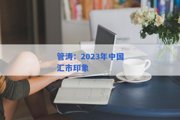 管涛：2023年中国汇市印象