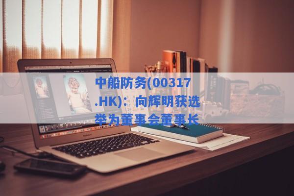 中船防务(00317.HK)：向辉明获选举为董事会董事长