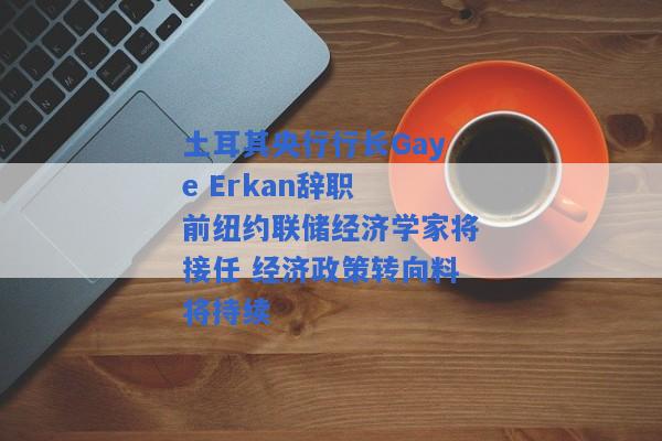 土耳其央行行长Gaye Erkan辞职 前纽约联储经济学家将接任 经济政策转向料将持续