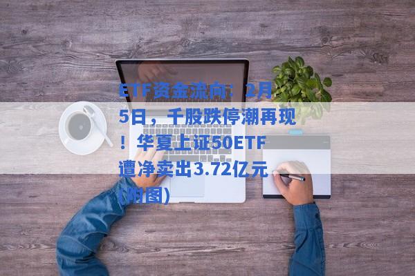 ETF资金流向：2月5日，千股跌停潮再现！华夏上证50ETF遭净卖出3.72亿元(附图)