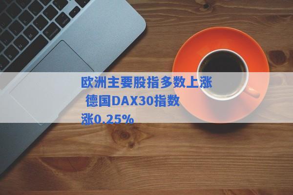 欧洲主要股指多数上涨 德国DAX30指数涨0.25%