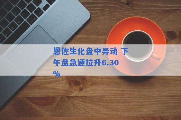 恩佐生化盘中异动 下午盘急速拉升6.30%