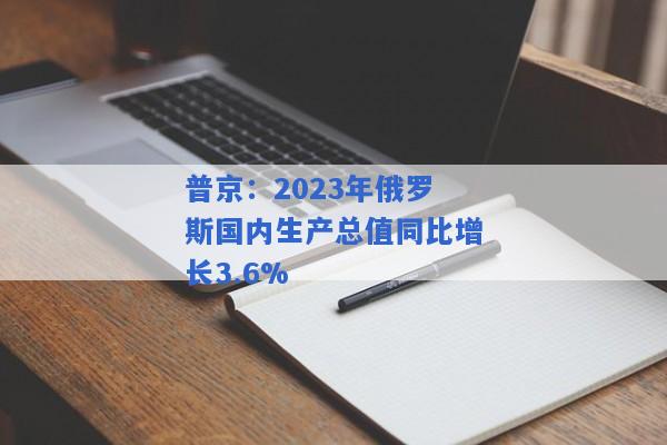 普京：2023年俄罗斯国内生产总值同比增长3.6%