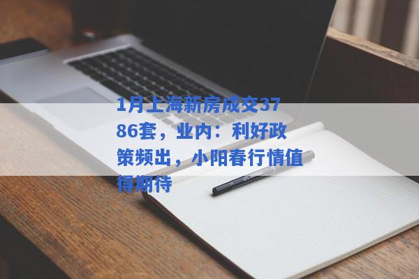 1月上海新房成交3786套，业内：利好政策频出，小阳春行情值得期待