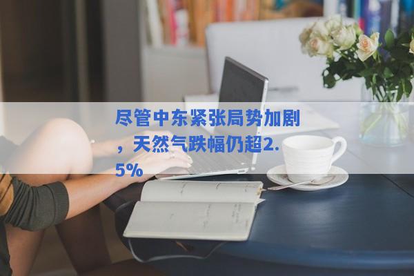 尽管中东紧张局势加剧，天然气跌幅仍超2.5%