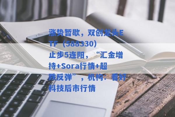 涨势暂歇，双创龙头ETF（588330）止步5连阳，“汇金增持+Sora行情+超跌反弹”，机构：看好科技后市行情