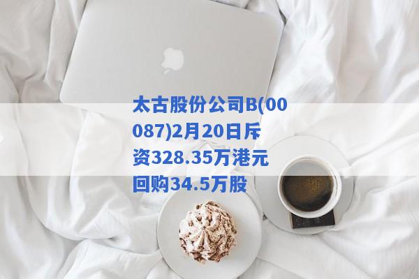 太古股份公司B(00087)2月20日斥资328.35万港元回购34.5万股