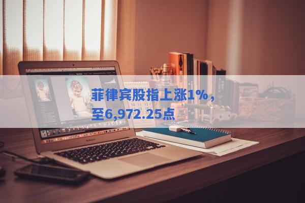 菲律宾股指上涨1%，至6,972.25点