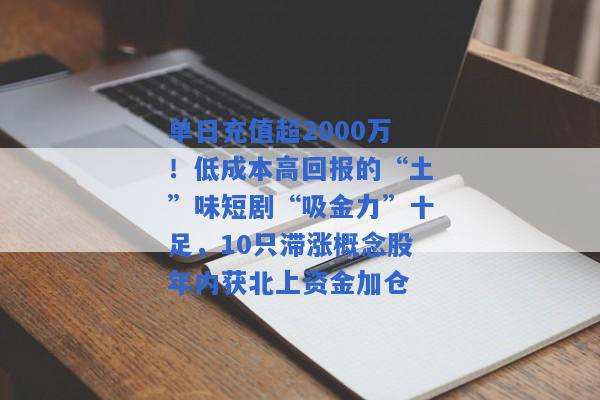 单日充值超2000万！低成本高回报的“土”味短剧“吸金力”十足，10只滞涨概念股年内获北上资金加仓