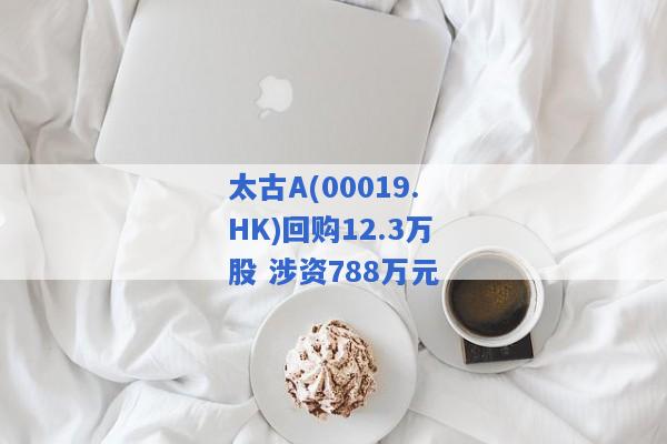 太古A(00019.HK)回购12.3万股 涉资788万元