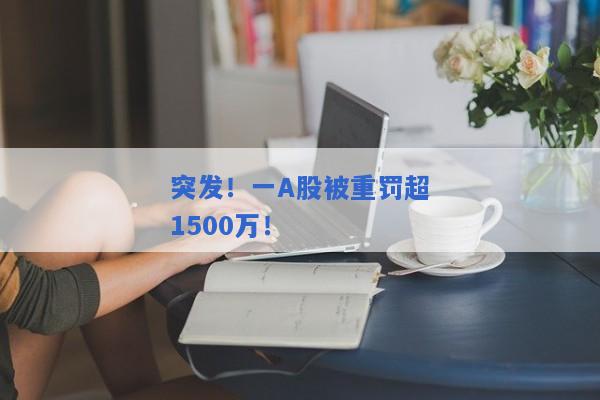 突发！一A股被重罚超1500万！