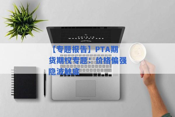 【专题报告】PTA期货期权专题：价格偏强隐波触底