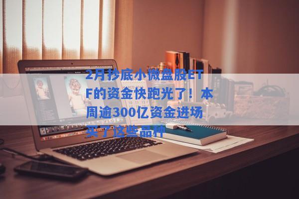 2月抄底小微盘股ETF的资金快跑光了！本周逾300亿资金进场买了这些品种