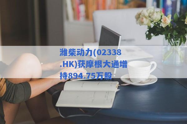 潍柴动力(02338.HK)获摩根大通增持894.75万股