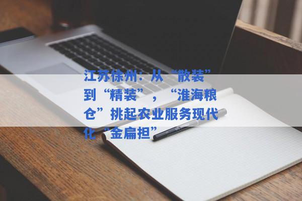 江苏徐州：从“散装”到“精装”，“淮海粮仓”挑起农业服务现代化“金扁担”