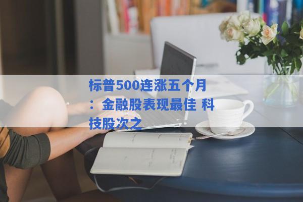 标普500连涨五个月：金融股表现最佳 科技股次之