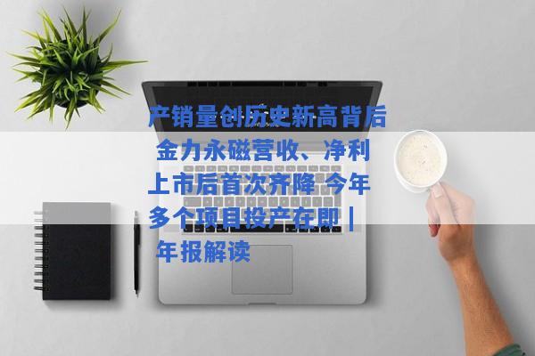 产销量创历史新高背后 金力永磁营收、净利上市后首次齐降 今年多个项目投产在即 | 年报解读