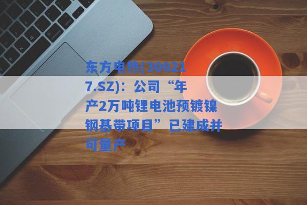 东方电热(300217.SZ)：公司“年产2万吨锂电池预镀镍钢基带项目”已建成并可量产